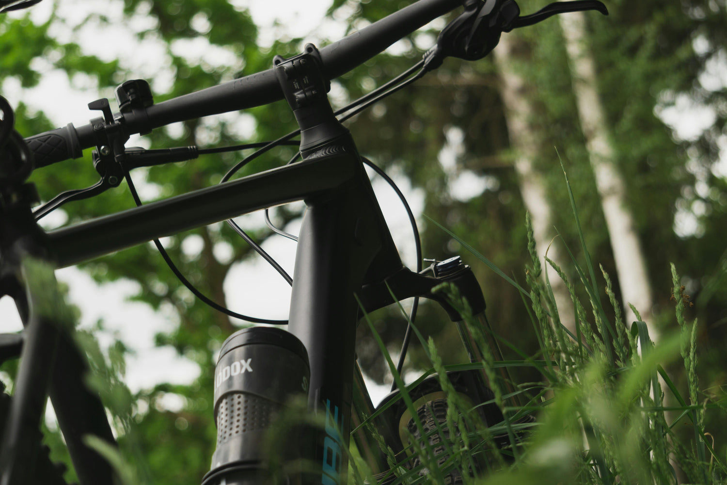 Cycling